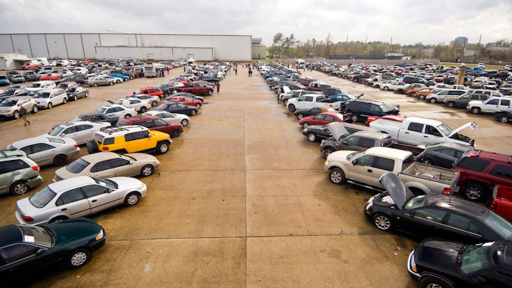 Rows of cars for sale at an auto auction