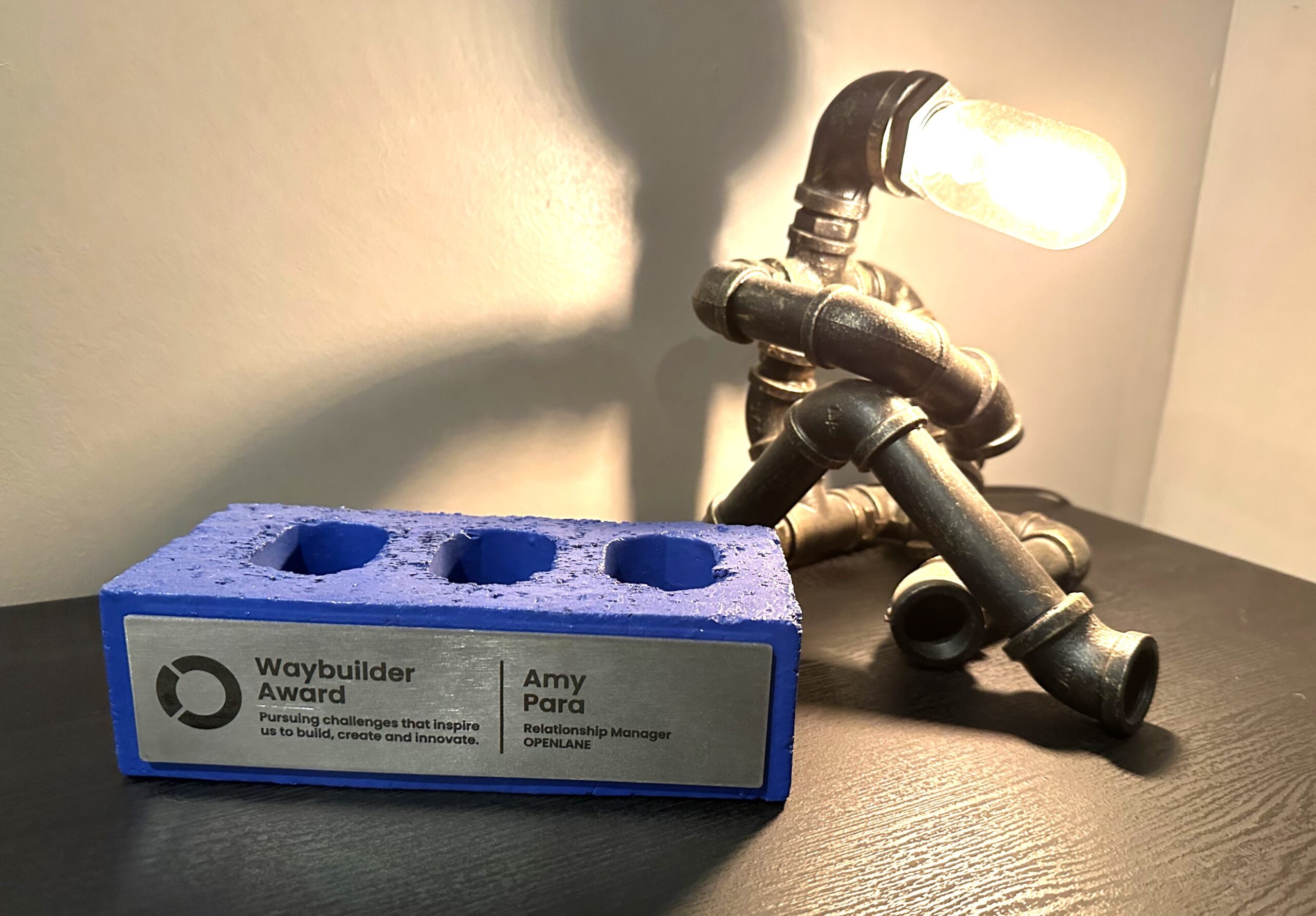 Blue brick Waybuilder Award